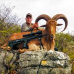 aoudad sheep hunting