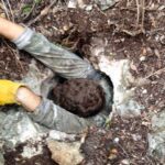 brent oxley owner of hostgator going in a hole